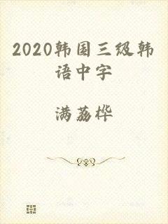 2020韩国三级韩语中字