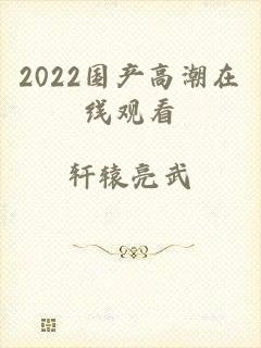 2022国产高潮在线观看