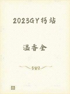 2023GY钙站