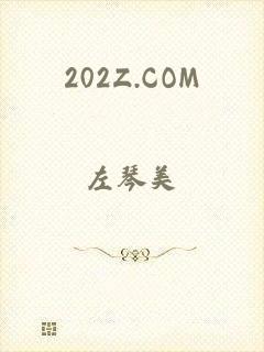 202Z.COM