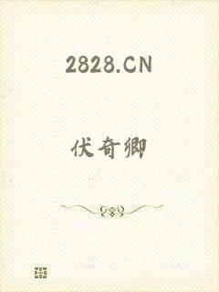 2828.CN