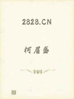 2828.CN