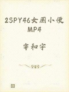 2SPY46女厕小便MP4