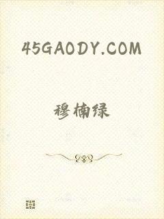 45GAODY.COM