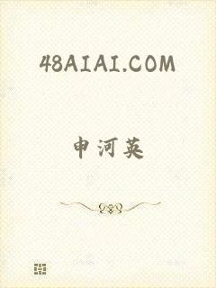 48AIAI.COM