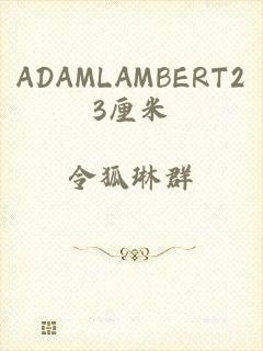ADAMLAMBERT23厘米