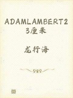 ADAMLAMBERT23厘米