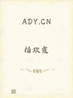 ADY.CN