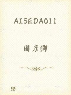 AISEDAO11