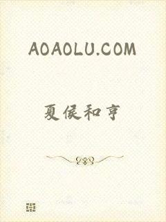 AOAOLU.COM