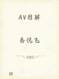 AV图解