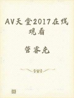 AV天堂2017在线观看