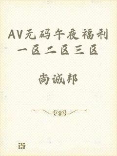 AV无码午夜福利一区二区三区