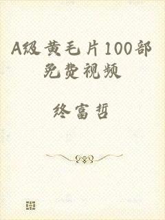 A级黄毛片100部免费视频