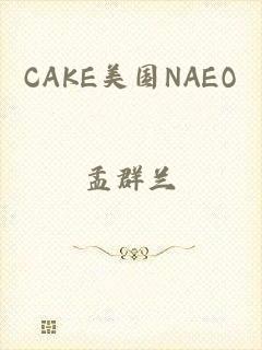 CAKE美国NAEO