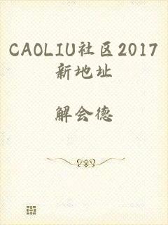 CAOLIU社区2017新地址