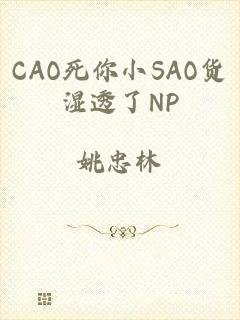 CAO死你小SAO货湿透了NP