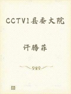 CCTV1县委大院