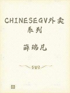 CHINESEGV外卖系列