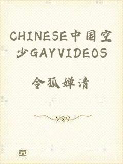 CHINESE中国空少GAYVIDEOS