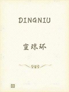 DINGNIU