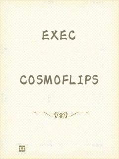 EXEC_COSMOFLIPS