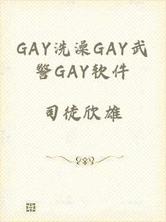 GAY洗澡GAY武警GAY软件