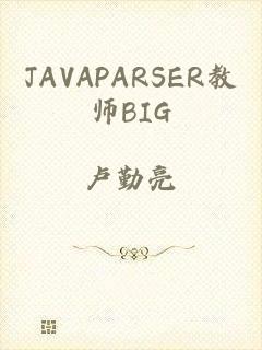 JAVAPARSER教师BIG