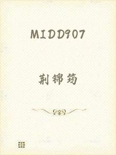 MIDD907