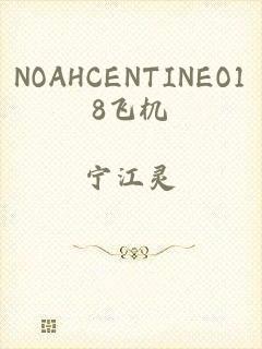 NOAHCENTINEO18飞机