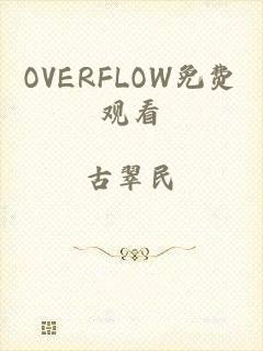 OVERFLOW免费观看