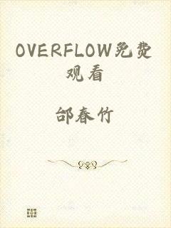 OVERFLOW免费观看