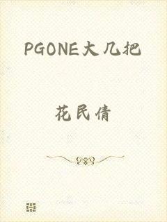 PGONE大几把