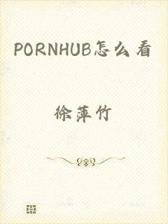 PORNHUB怎么看