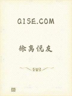 Q1SE.COM