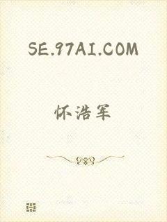 SE.97AI.COM