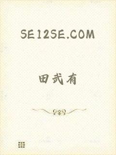 SE12SE.COM