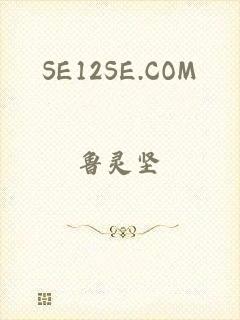 SE12SE.COM