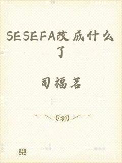 SESEFA改成什么了