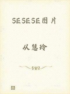 SESESE图片