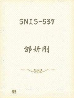 SNIS-539