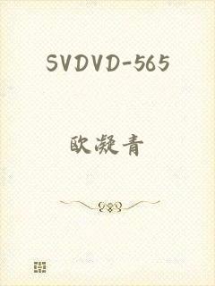 SVDVD-565