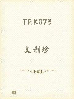 TEK073