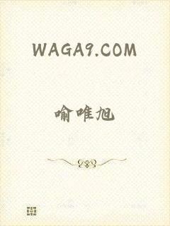 WAGA9.COM