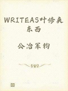 WRITEAS叶修夹东西