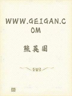 WWW.GEIGAN.COM