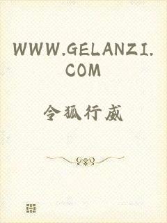 WWW.GELANZI.COM