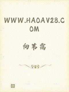 WWW.HAOAV28.COM