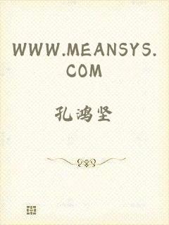 WWW.MEANSYS.COM