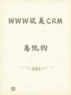 WWW欧美CRM